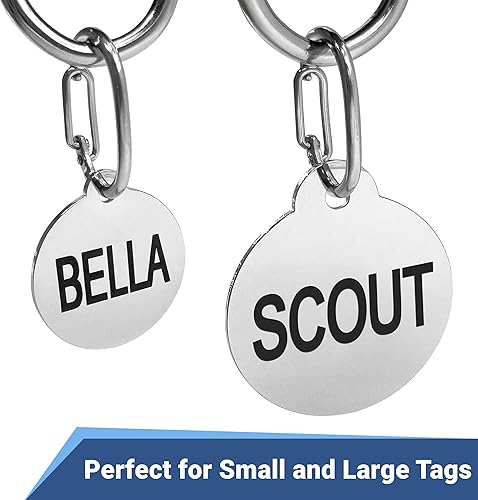 Miniatura 3 de Broche rápido con etiqueta de identificación de mascota  Acero inoxidable. Etiqueta de identificación duradera y resistente, conector para cierre y