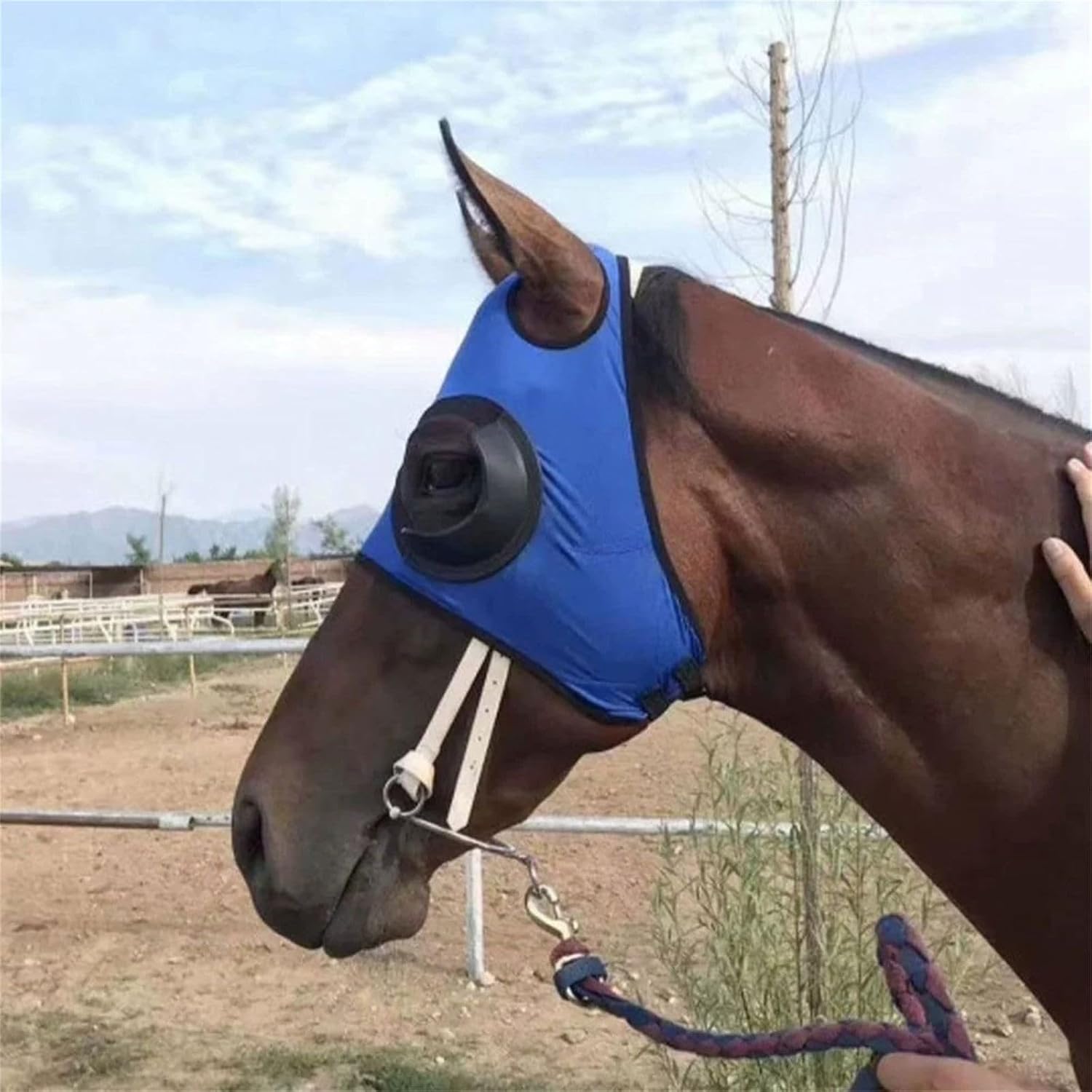 Durability Horse Cycling Eye Protective Equestrian Gears for Full Coverage Against Wind Sand and Horse Wind