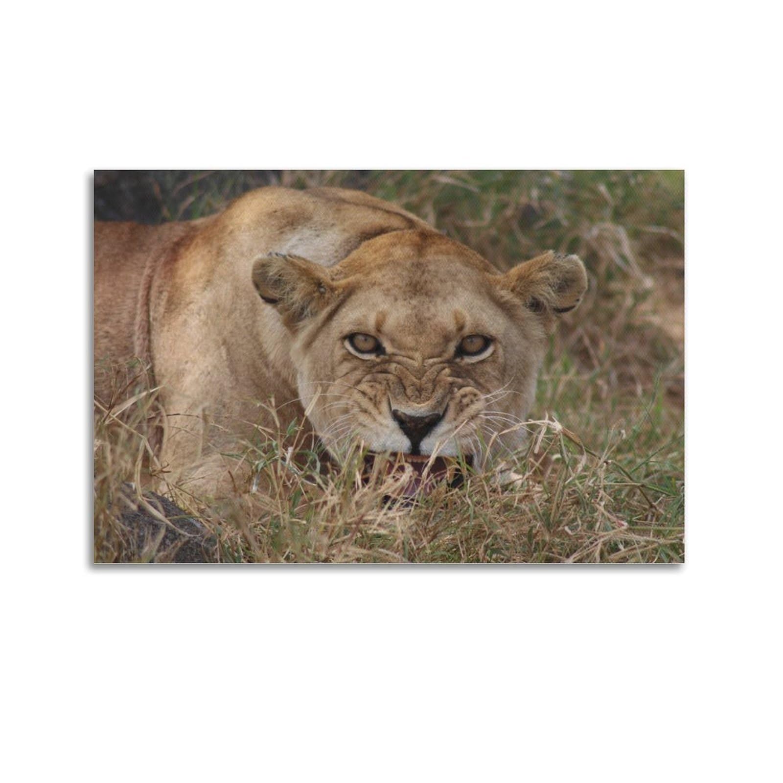 JTLFXY Animal Poster with Lion on The Ground Poster Decorative Painting Canvas Wall Posters And Art Picture Print Modern Family Bedroom Decor Posters 20x30inch(50x75cm)