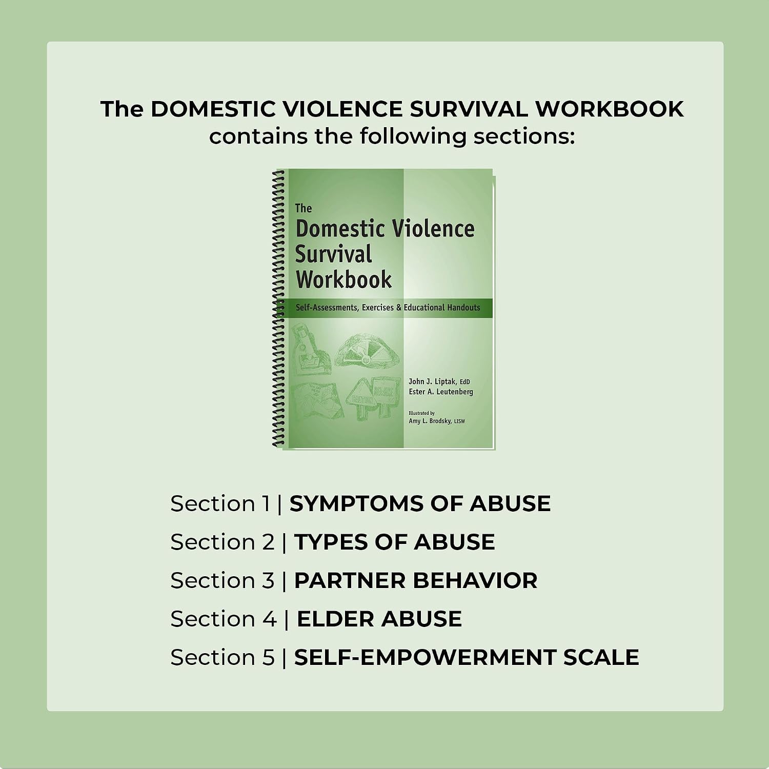 The Domestic Violence Survival Workbook - Self-Assessments, Exercises & Educational Handouts (Mental Health & Life Skills Workbook Series)