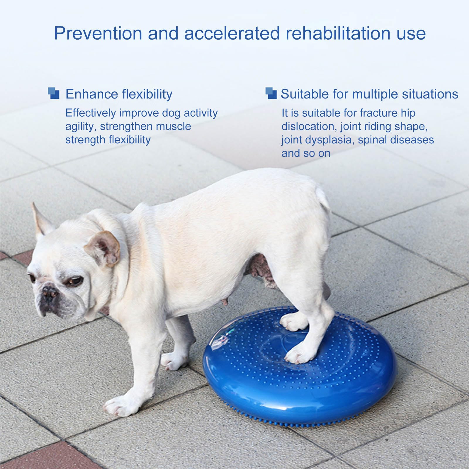 Tapis d'équilibrage pour chien avec surfaces texturées, fitness, stabilité, entraînement debout, amélioration des postures