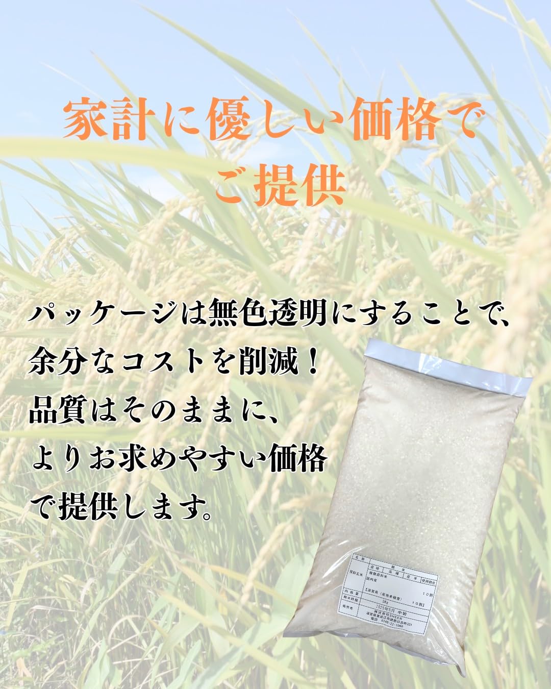 Amazon.co.jp: 新米 令和7年産 滋賀県（近江米） 国内産 ブレンド米