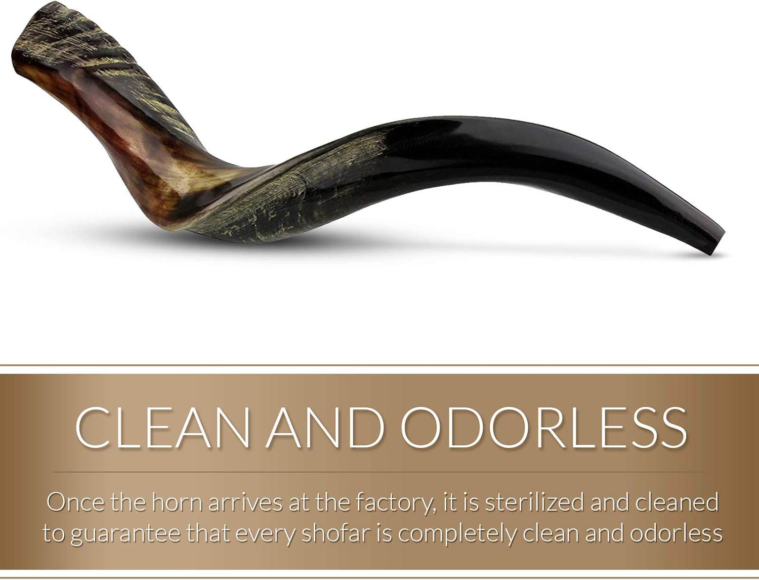 KOSHER ODORLESS POLISHED YEMENITE SHOFAR | Natural Kudu Horn | Smooth Mouthpiece for Easy Blowing | Includes Carrying Bag and Shofar Blowing Guide | 20"-24" : Musical Instruments