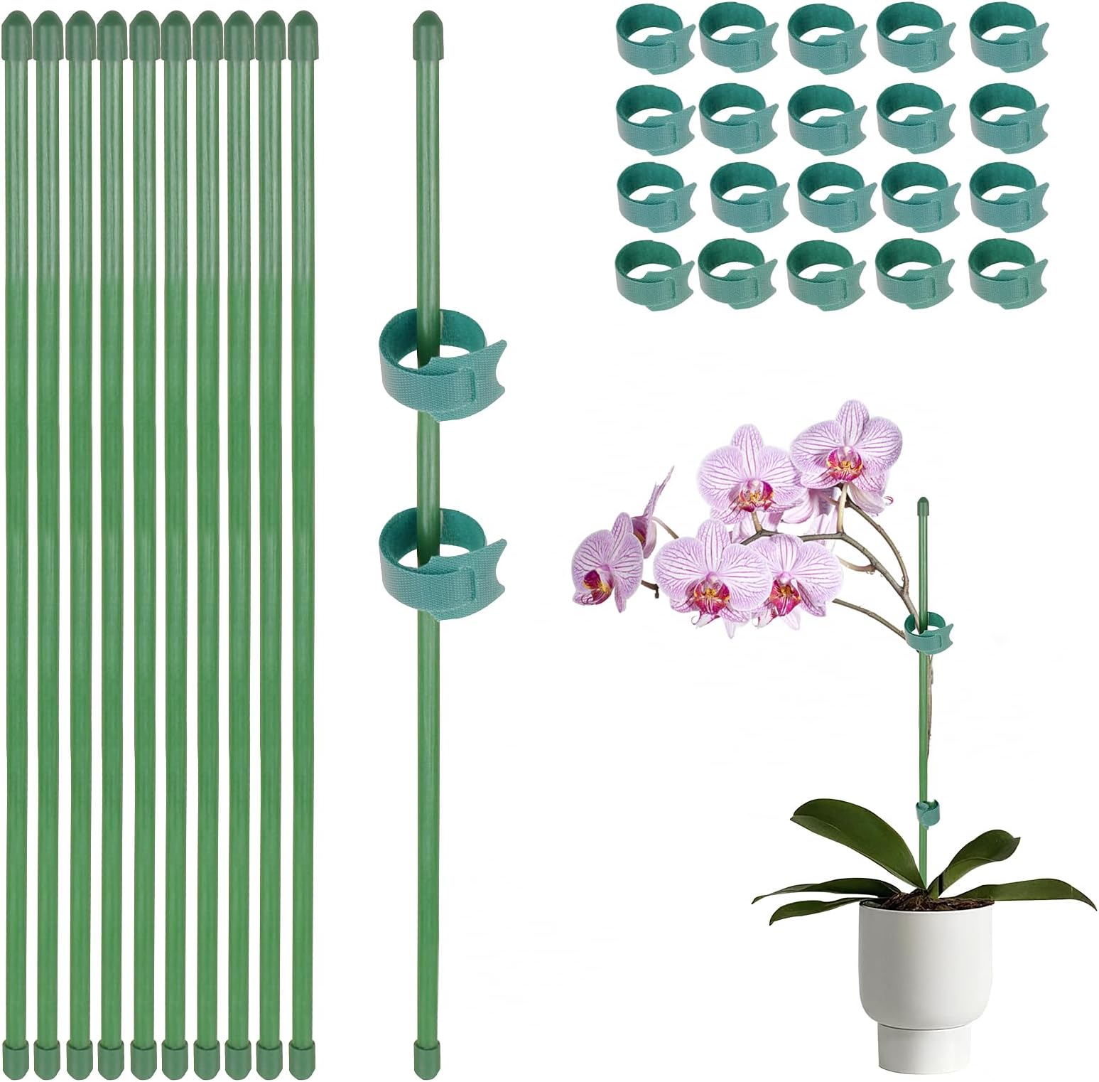 10 Packs Green Garden Stakes Plant Support Sticks with 20 pcs Nylon Plant Ties 30cm Garden Single Stem Stakes Plant Support for Plant Flower Vegetables