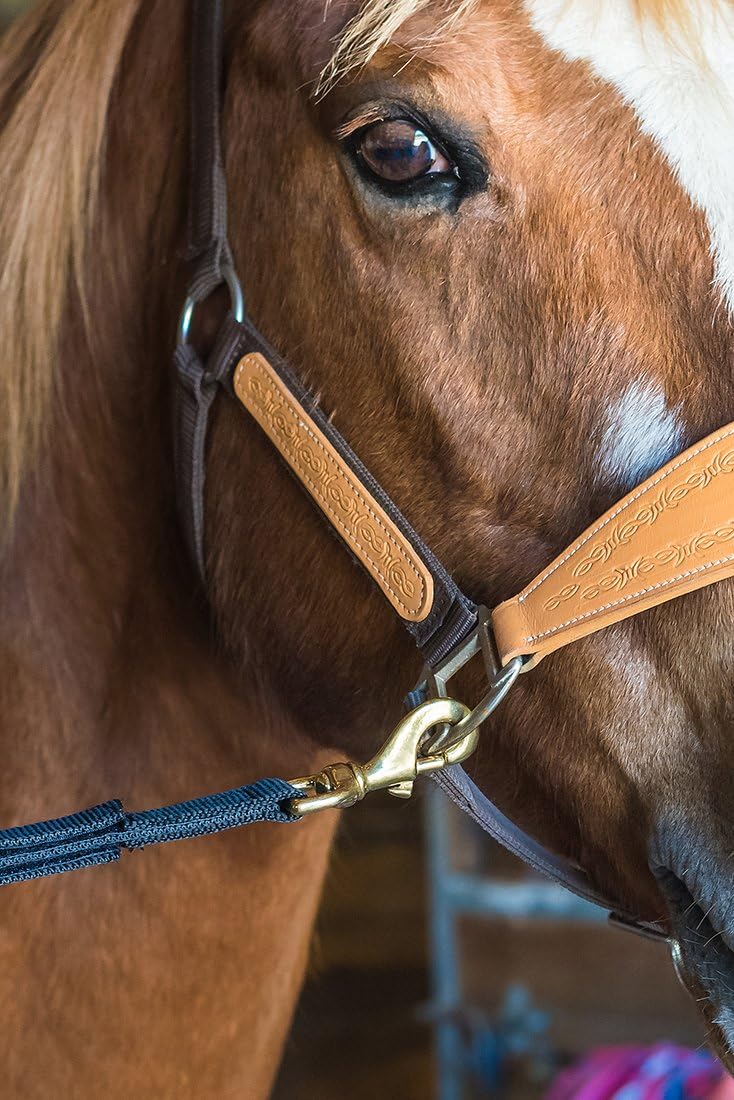 Intrepid International Tie Safe Nylon Adjustable Cross Tie - Stall Accessories, Attach to Halter, Brass Panic Snap, for Stall, Horse Trailer Accessories