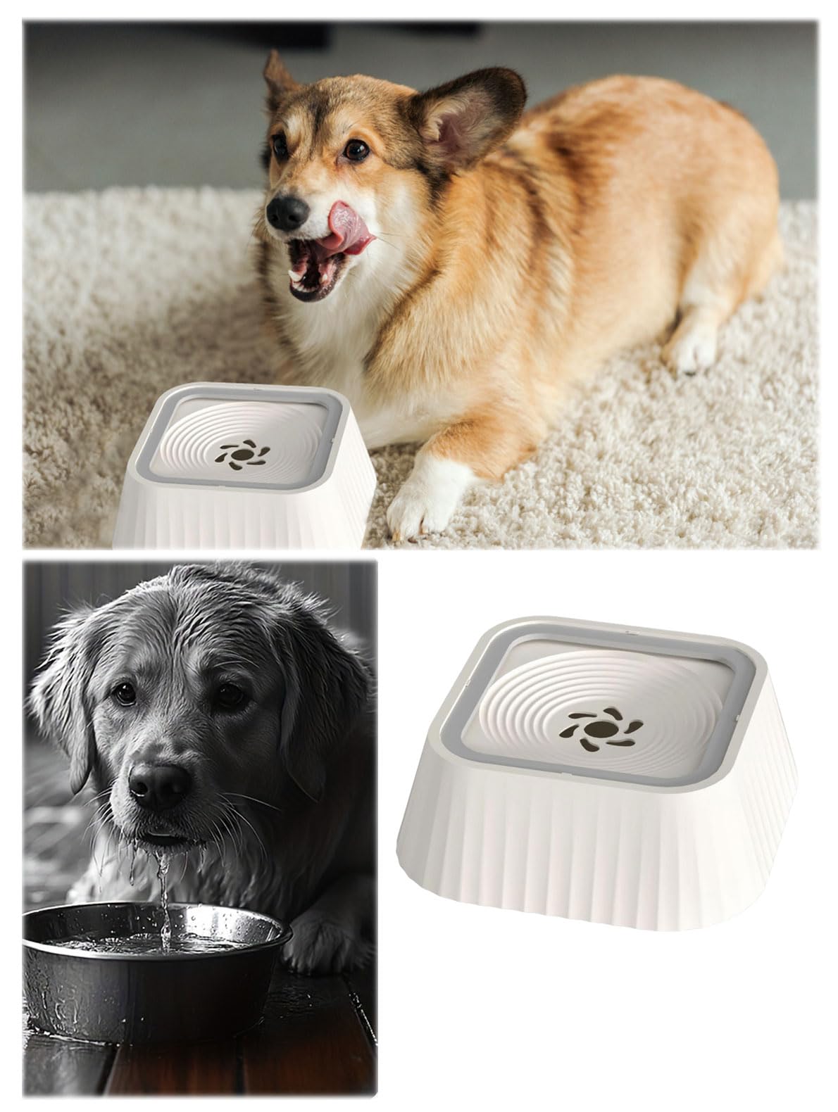 Gamelle à eau pour chien - 1,3 l - Anti-éclaboussures - Anti-éclaboussures - Anti-fuite - Sans bavure - Blanc