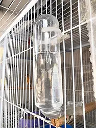 Dal Acessórios de Vidro - Kit 03 Bebedouros de Vidro com Bocal Reforçado para Calopsitas e Periquitos (40 ml)