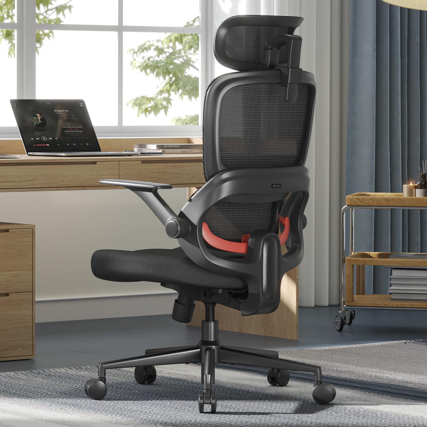 SIHOO B100 SE Ergonomic Office Chair