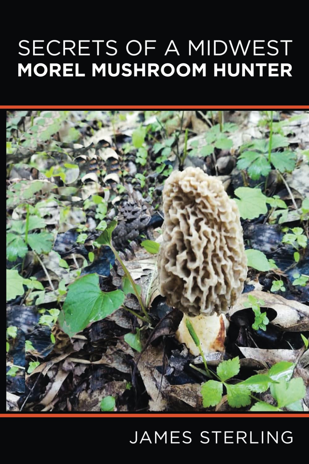 Secrets of a Midwest Morel Mushroom Hunter (Morel Mushroom Hunting Guidebooks)