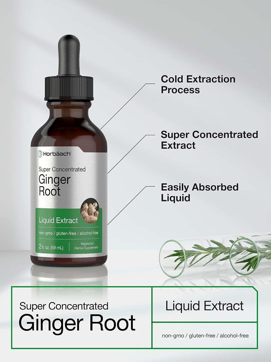 Ginger Root Extract Liquid | 2 oz | Alcohol Free Supplement | Super Concentrated | Vegetarian, Non-GMO, Gluten Free | by Horbaach