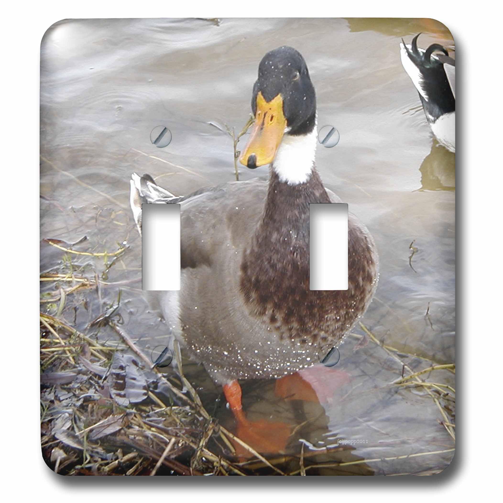 Interrupteur à baïonnette colvert pour remplacer une plaque murale standard