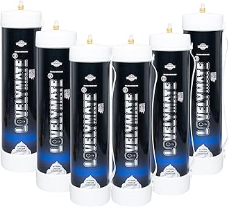 Lovemate Large Whipped Cream Chargers 4.4l - 3000g Tanks Food Grade Kitchen Tools (3000g - 6pieces)