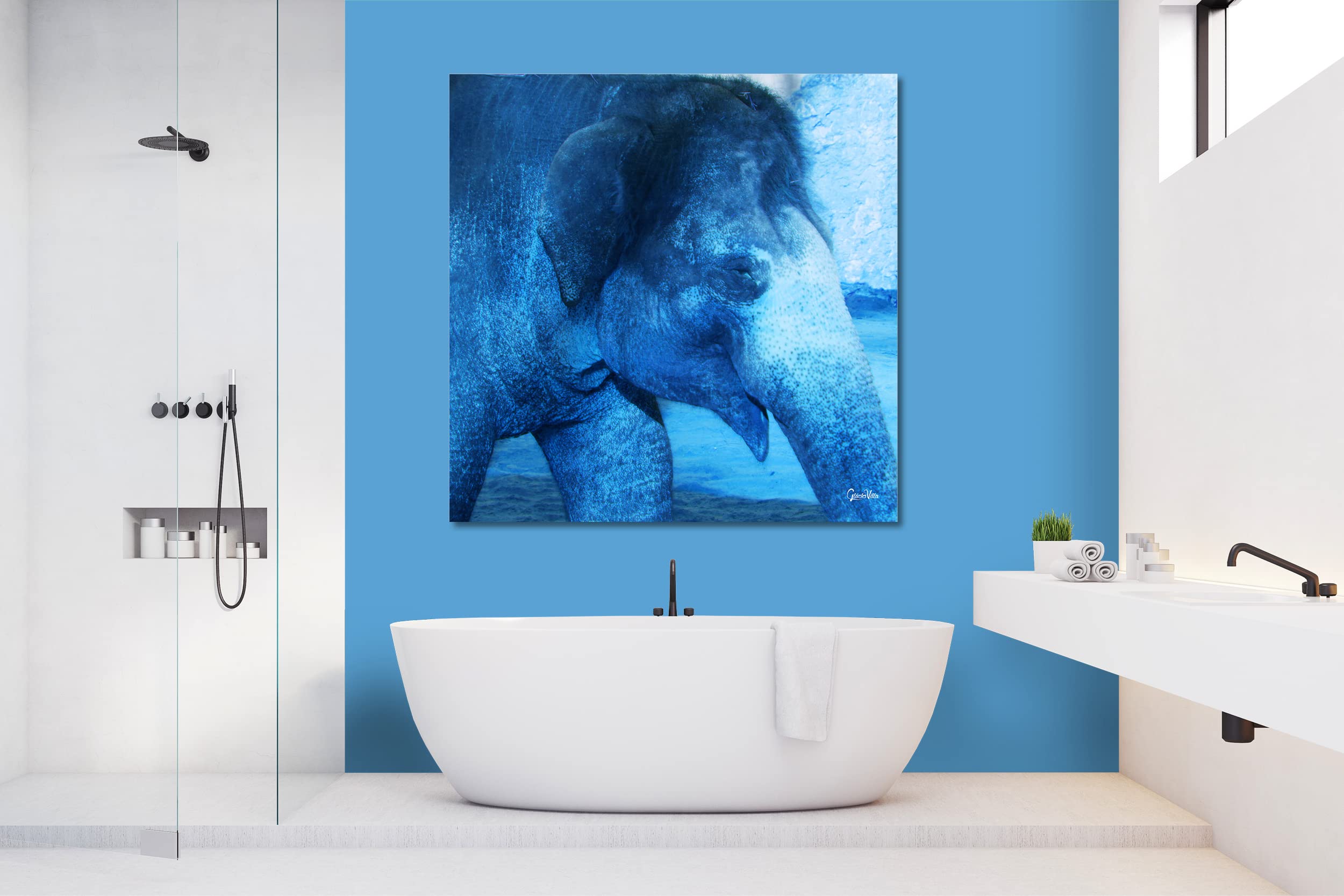 Glücksvilla - Der Elefant 1 - (Acrylglas-Bild 5 mm, 140 x 140 cm) | div. Maße - aus DE - Kunstdruck XXL Deko Wandbild Quadrat - Wildnis Afrika Natur Tier Fotografie