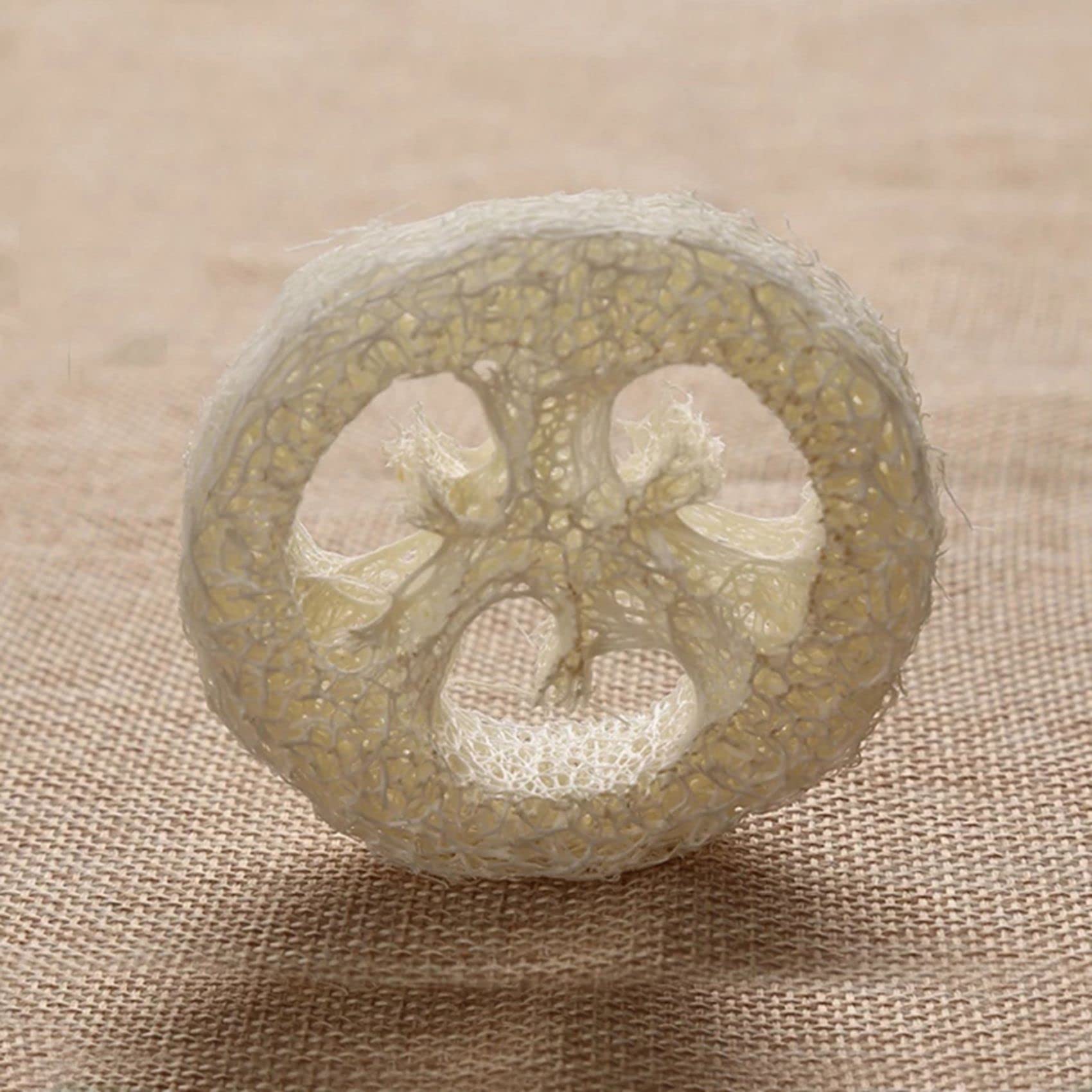 Wuden 300Pcs Natural Loofah Luffa Loofa Slices Handmade Loofah Soap Box Tray Tools Cleaner Sponge Soap Holder