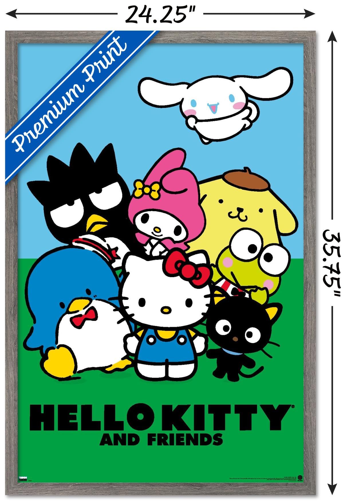 Amazon.com: Hello Kitty and Friends: 21 Core - Standing Wall