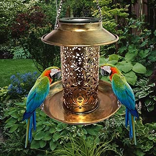 Best Squirrel Off Solar Powered Bird Feeder Of 2020 Top Rated