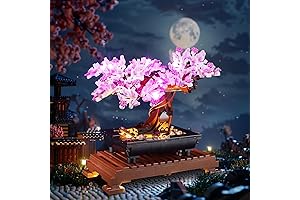 Light Up LED Light Kit for Lego Bonsai Tree 10281 Building Kit