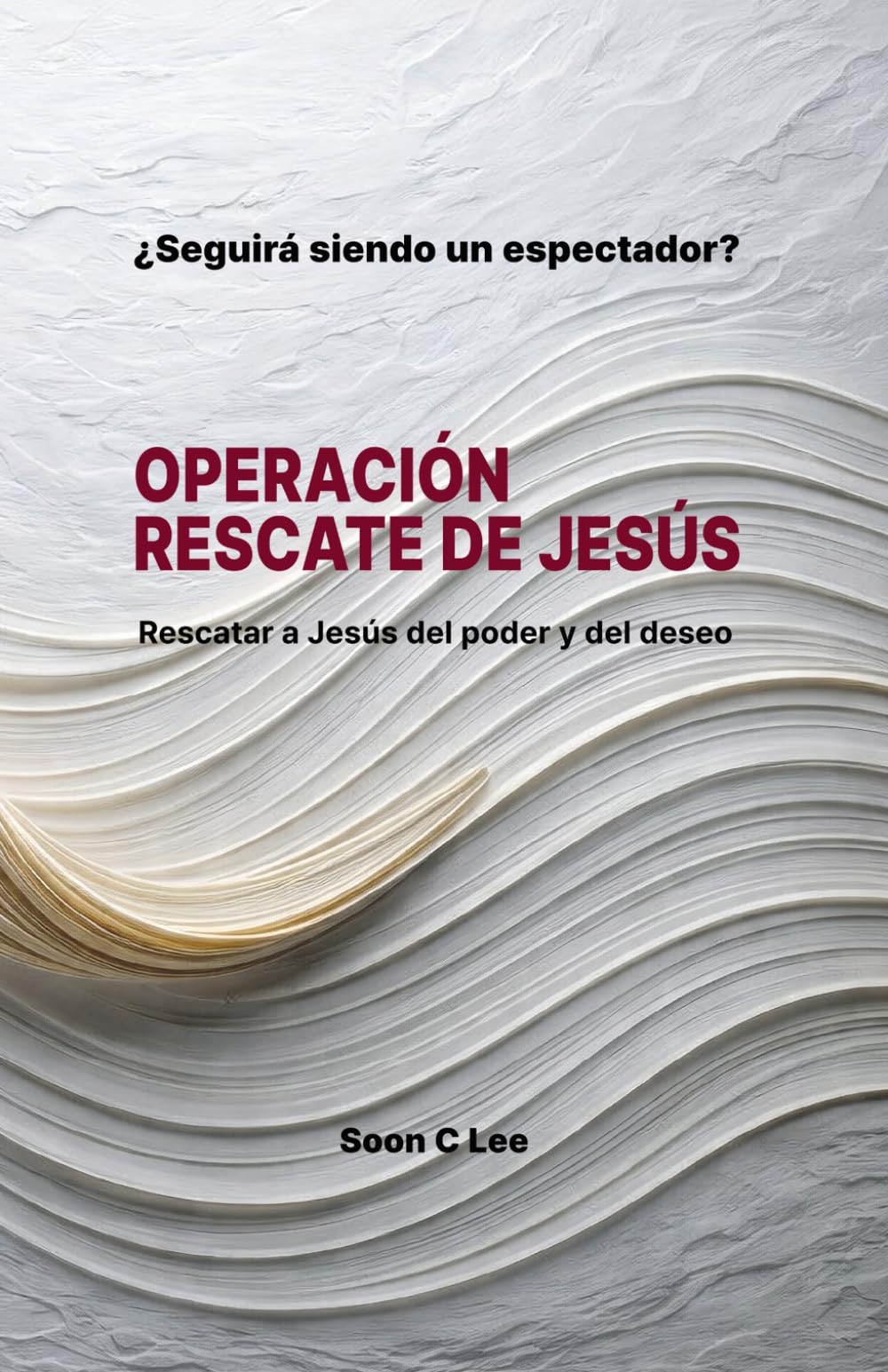 Operación Rescate de Jesús: Recuperar al Jesús deformado por el poder y el deseo
