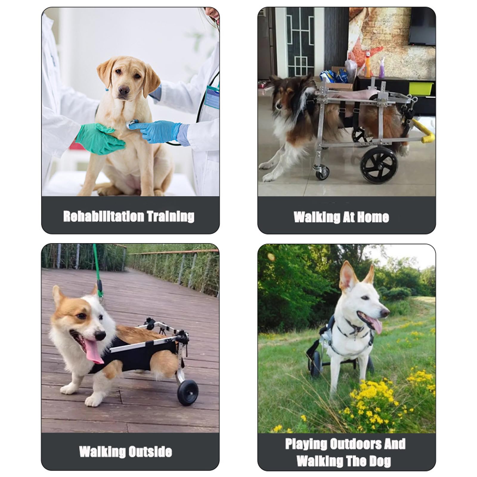 Sedia A Rotelle per Cani, Carrellino Cane Disabile, Dog Wheelchair, Carrellino per Cani Disabili Gambe Posteriori RiabilitazioneOrange,One Size
