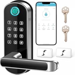 Chapa De Seguridad Con Huella Cerradura inteligente de puerta digital, entrada sin llave, cerradura de huellas dactilares para puerta delantera