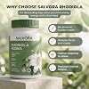 Suplemento de Rhodiola Rosea – Cápsulas de Adaptógeno de Raíz Dorada - Alternativa en Polvo de Extracto de Rhodiola Rosea con Salidrósido para el Estrés - Cápsulas de Energía, Enfoque y Rendimiento, 60 unidades (Paquete de 1) 7