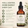 Gotas de drenaje linfático Lumivyx, suplemento líquido herbal 21 en 1 con equinácea, diente de león, bardana, bromelina, caléndula y cúrcuma, apoya el drenaje linfático, el equilibrio de líquidos y el bienestar inmunológico, gotas de 2 oz líquidas (paquete de 1) 3