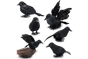 6PCS Lifelike Black Crows Halloween Decorations