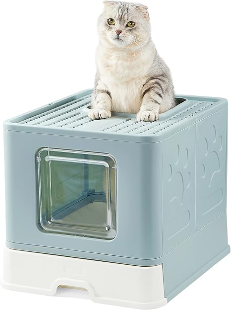big kitty litter box