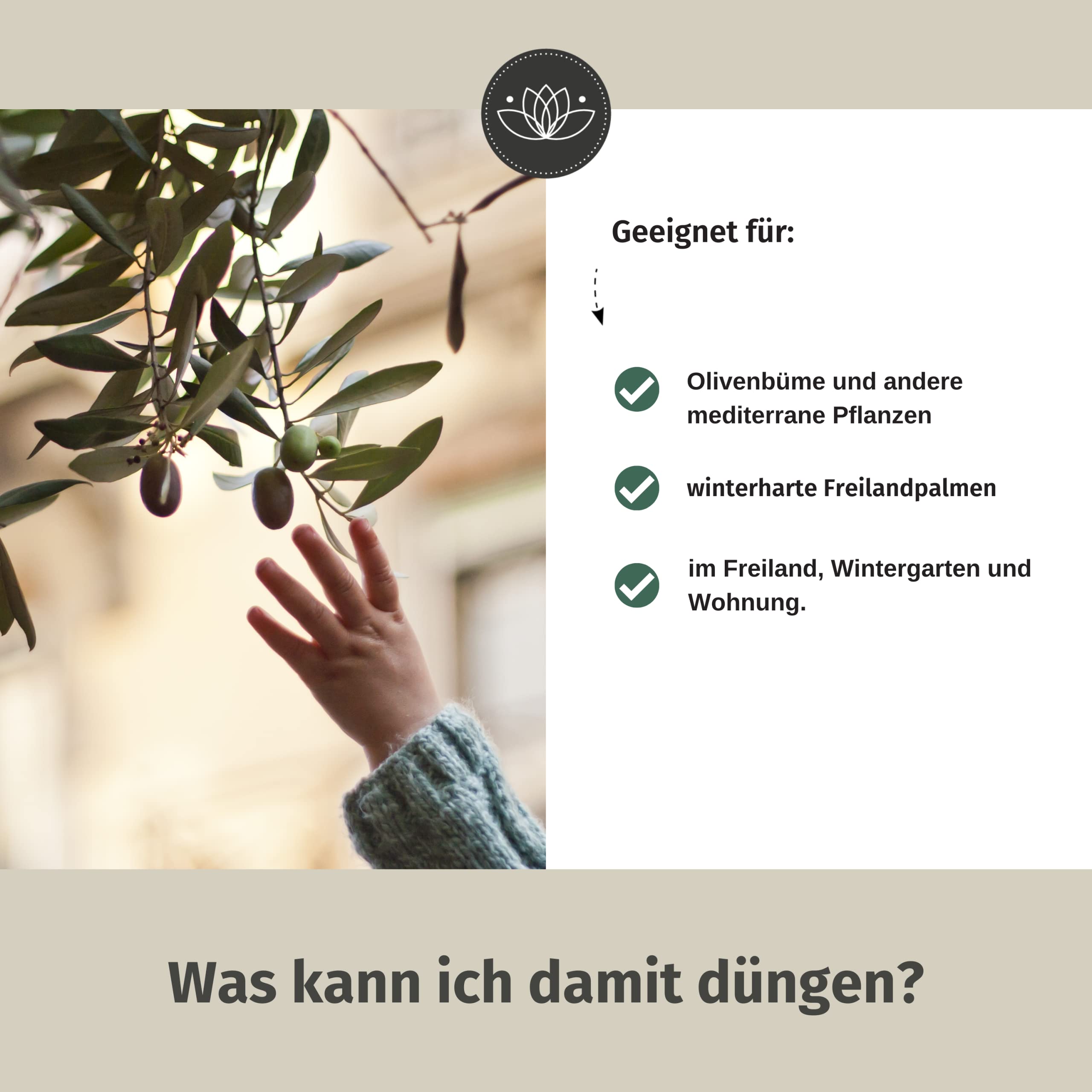Bio Olivenbaum Dnger flssig 500 ml Konzentrat fr 100 Liter Giewasser -  100% organischer Dnger fr Olivenbaum - Mediterraner Pflanzendnger fr ...