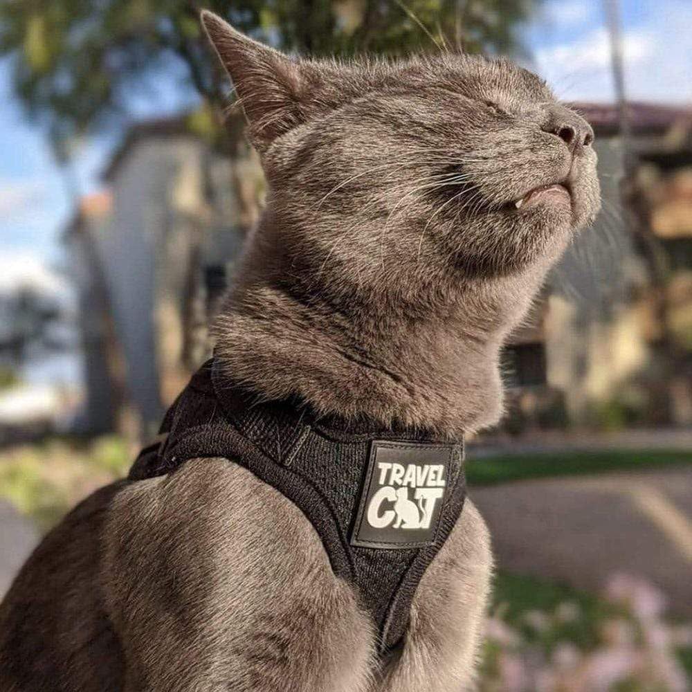 Travel Cat: The True Adventurer - Juego de arnés y correa reflectante para gatos y gatitos para caminar, ligero, transpirable, ajuste cómodo, correa fuerte con clip resistente a presión