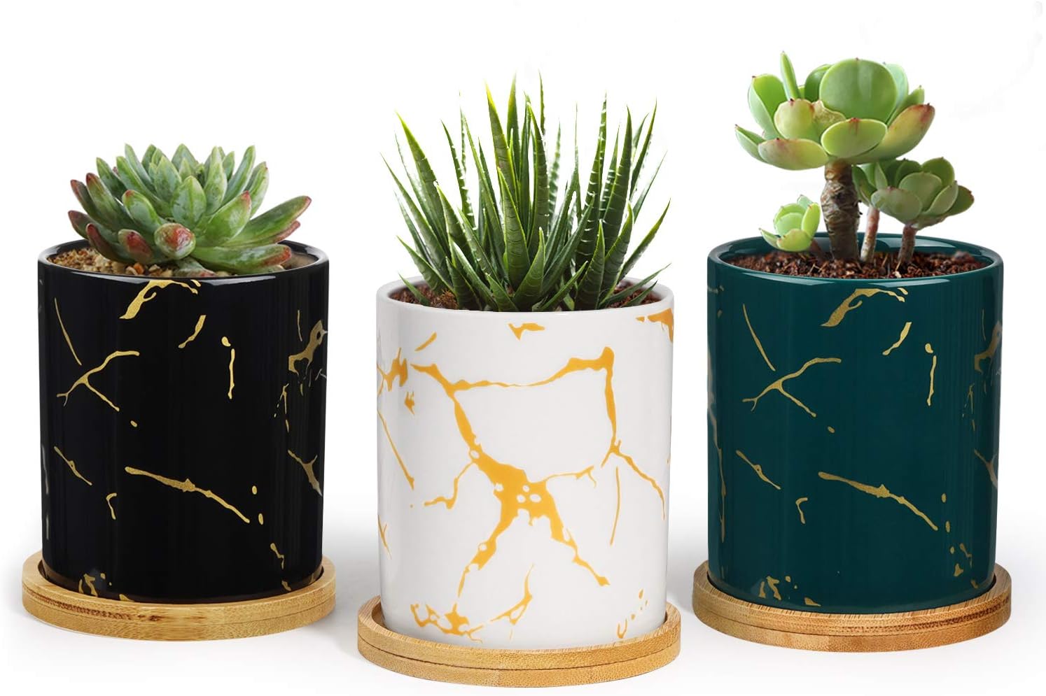 T4U Ceramic Plant Pots for Succulents with Trays - 3 Inch Cylinder Small Succulent Planter with Drainage - Gardening Home Desktop Office Decoration - Small Cactus Holder Set of 3 (Multi Color)