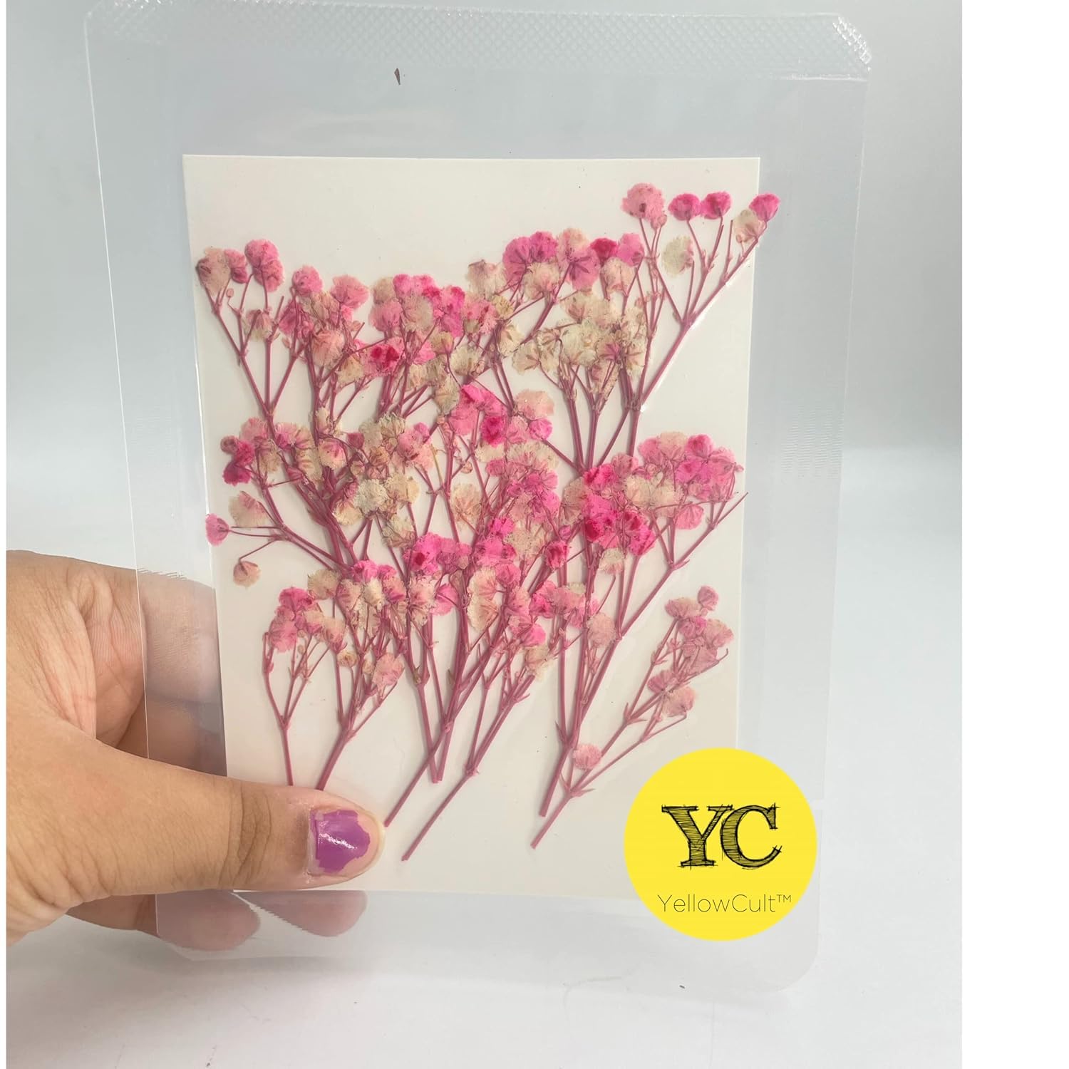 YellowCult Natural Real Dried & Pressed Baby Breaths Flowers for Art Craft - Multicolor for Soap, Candle, Scrapbooking, DIY, Resin Jewelry, Pendant - Baby Breaths Flowers [Luxury Pink and White]