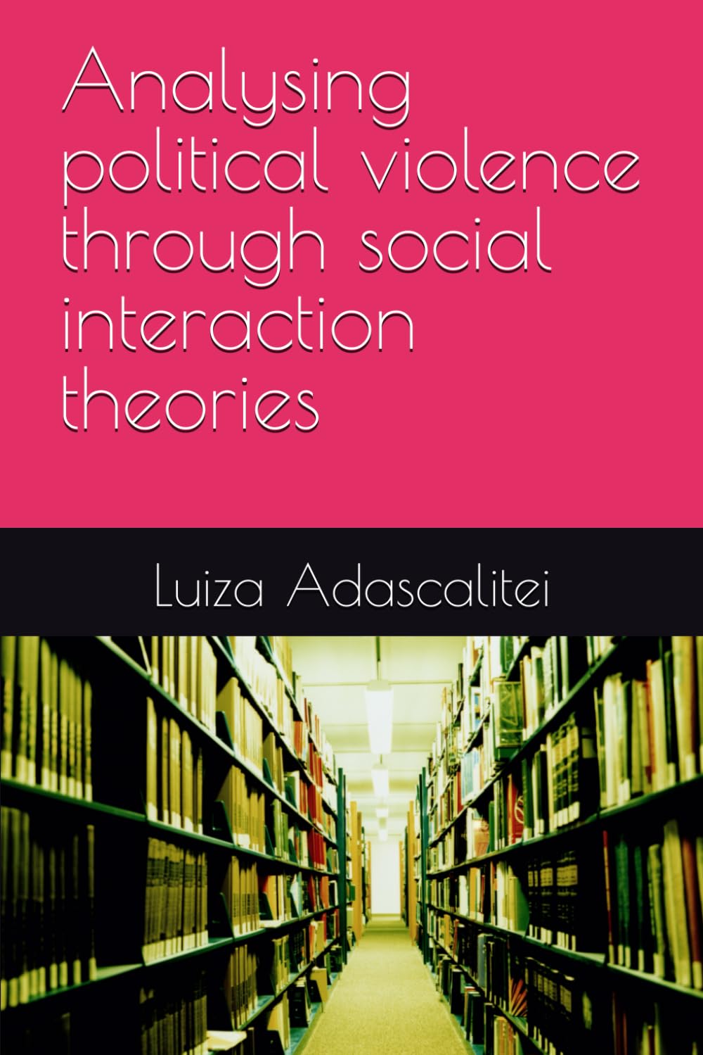 Analysing political violence through social interaction theories