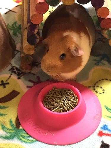 Miniatura 3 de Cuenco ergonómico para mascotas a prueba de puntas para conejillo de indias y otras mascotas pequeñas, 14 taza tamaño pequeño, fucsia (rosa)