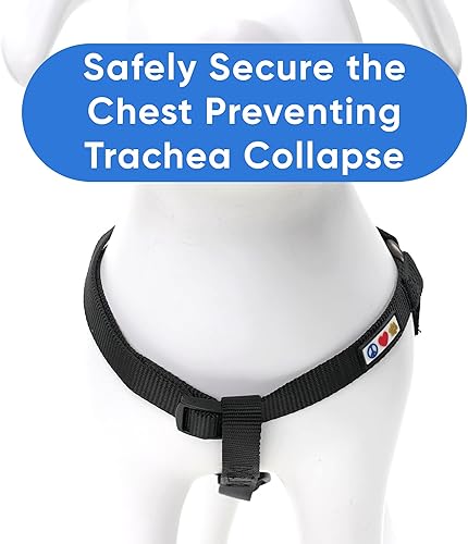 Miniatura 5 de Pawtitas - Arnés personalizado para perro con nombre y número de teléfono arnés ajustable para cachorros razas grandes y cachorros arnés para perros