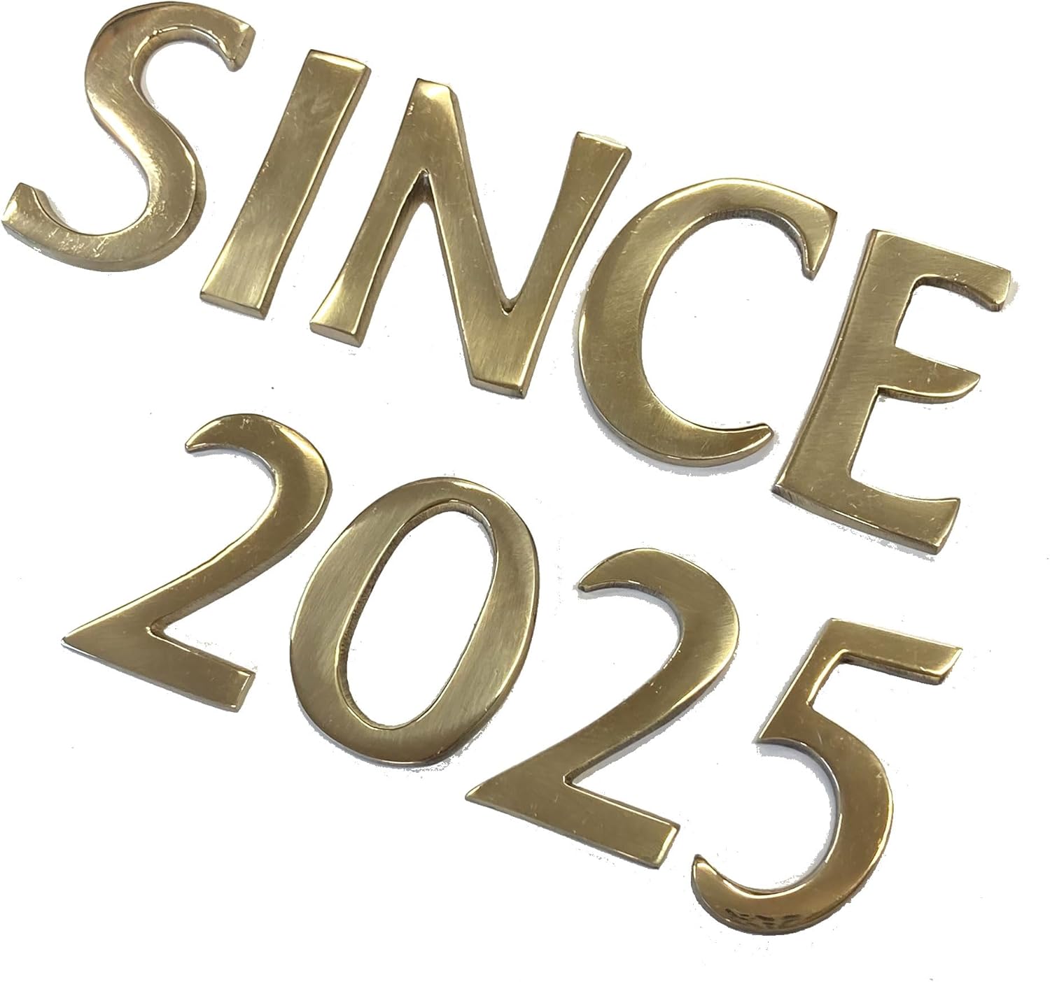 null2 Tシャツ L ヌルのテトラレンマ ステッカー 落合陽一 関西万博