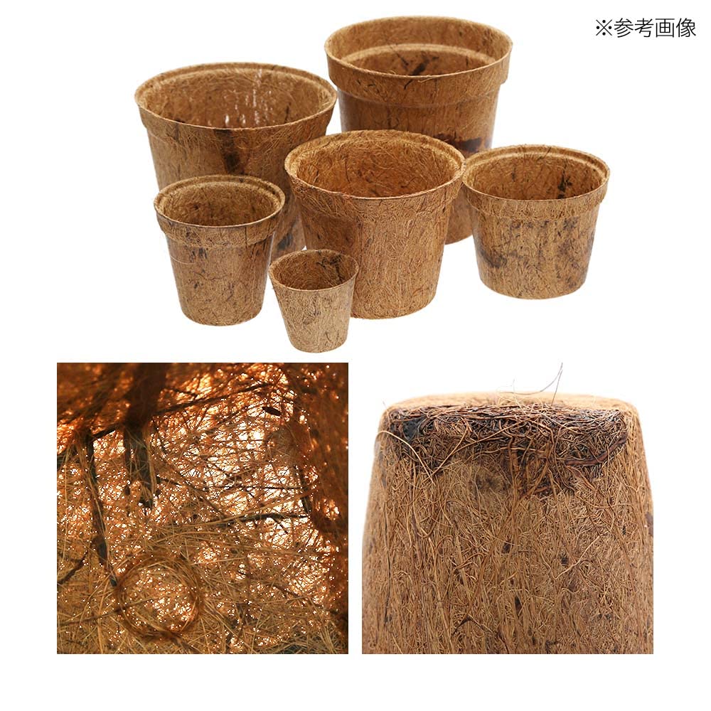 ここなっつ Amazon.co.jp: 生分解性ココナッツポット 55×55×50mm 5個