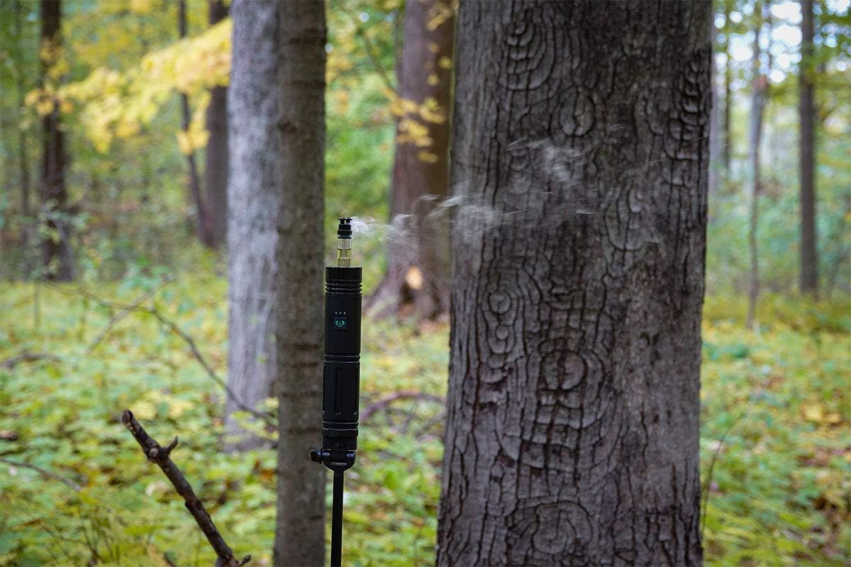 Wyndscent P7 Deceiver Series Sanctuary 17 Cover Scent and Whitetail Deer Attractant, for Use with The 2.0 Mini Scent Vaporizer Unit