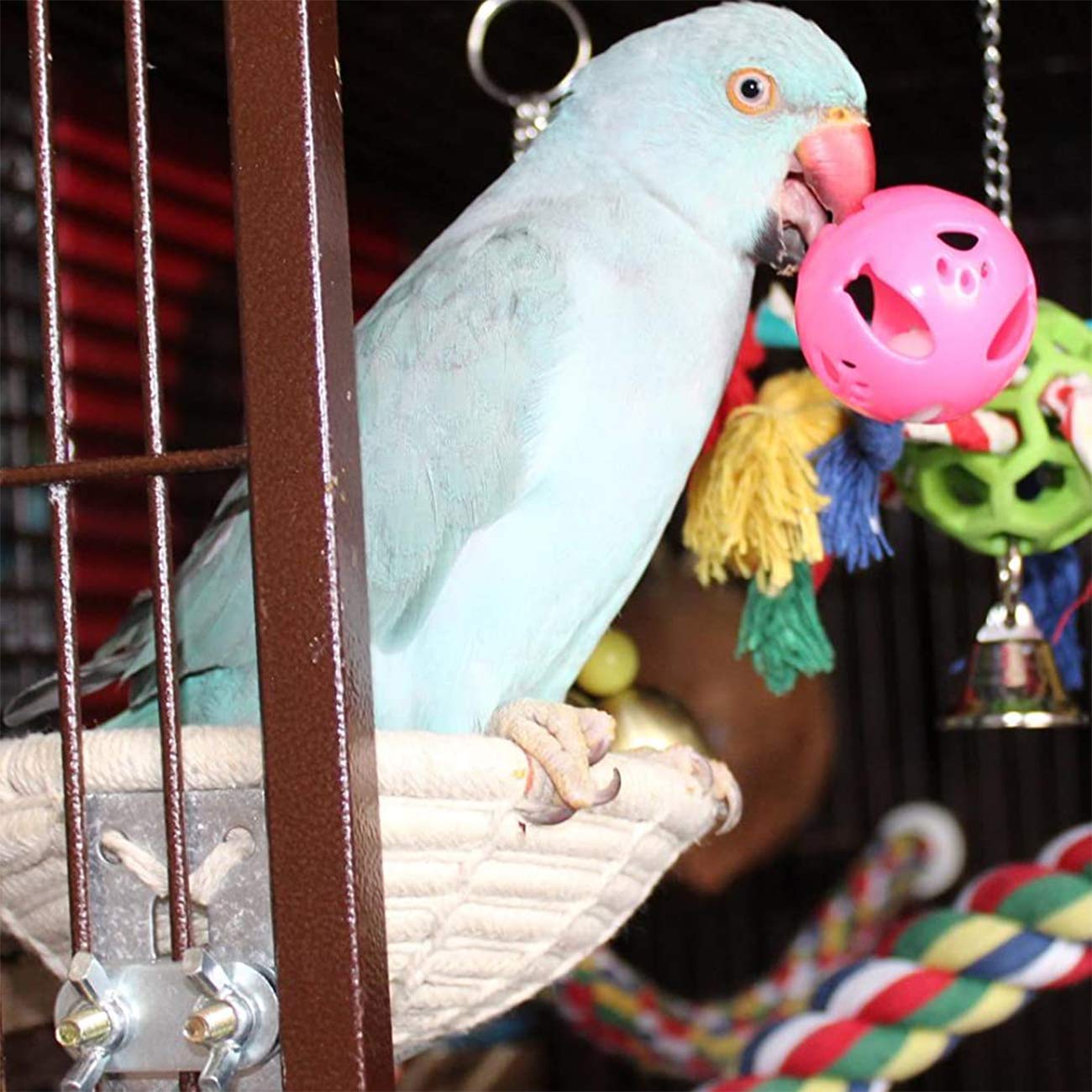 Orgrimmar Cuerda de algodón hecha a mano para nido de pájaros, nido de cría, jaula de casa para periquito, cacatúa, periquito, conure, pinzón canario, tortolito, loro pequeño (1 unidad)