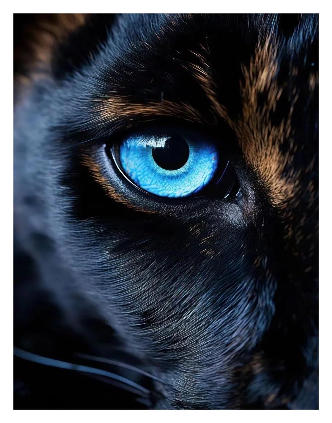 Affiche Oeil de Tigre et Loup pour Décoration de Salon Moderne et Chaleureux