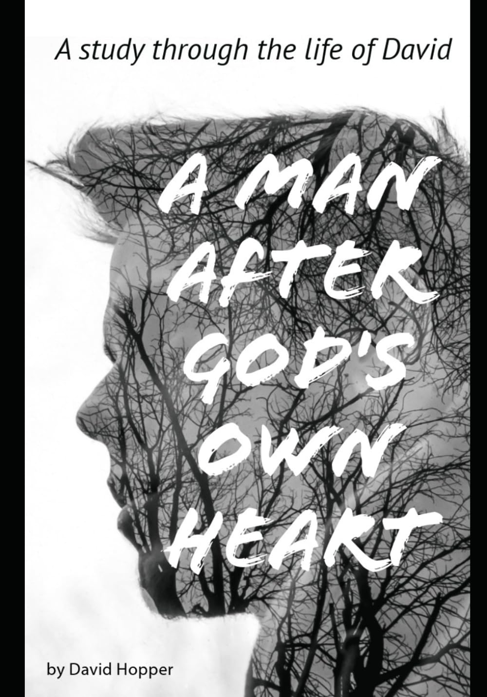 A Man After God's Own Heart: Discipleship lessons from the Biblical story of David