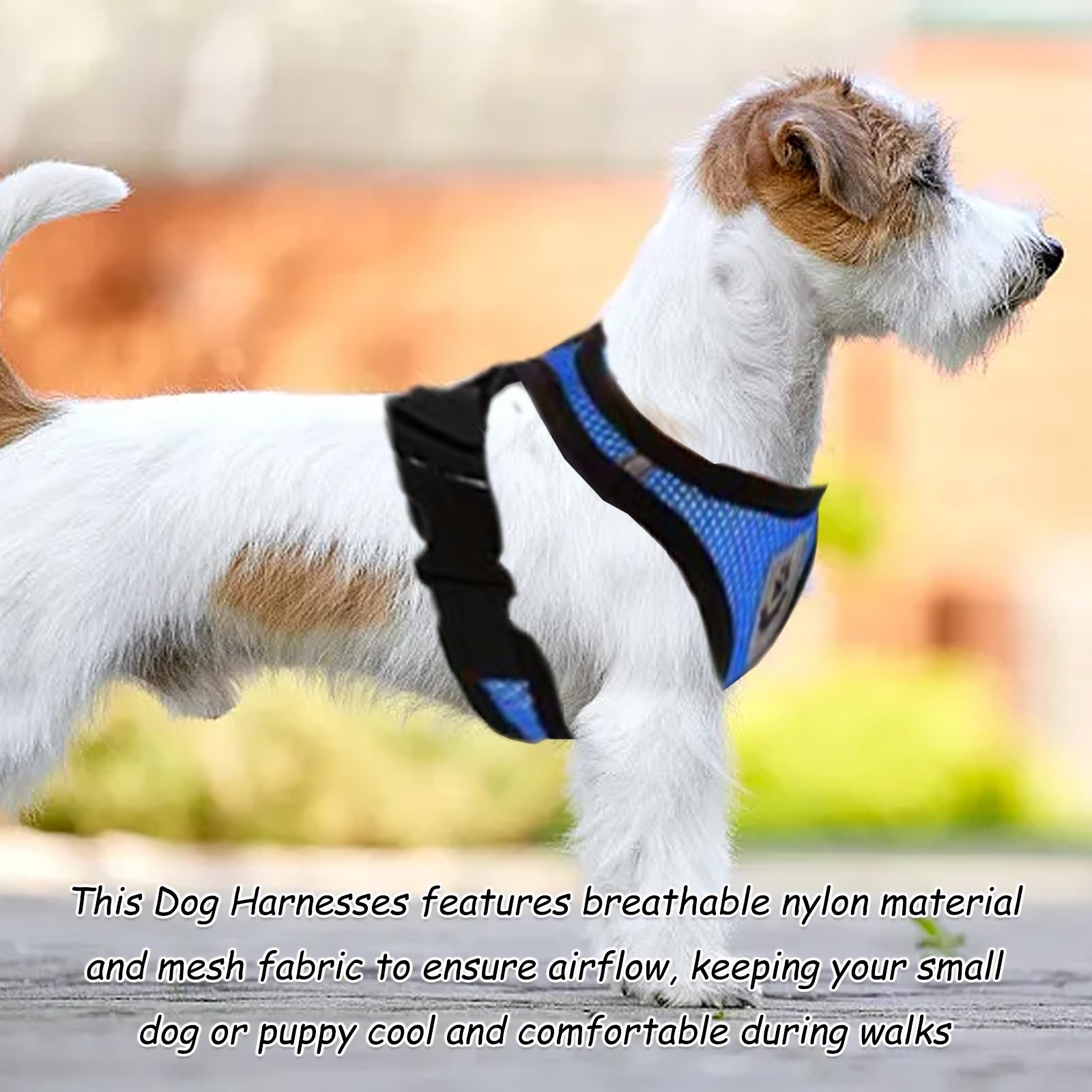 1 X Dog Harnesses - Image 4