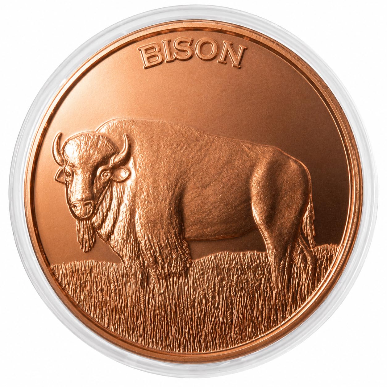 Amazon.com: Bison 1 oz Pure .999 Copper Round Bullion Coin in