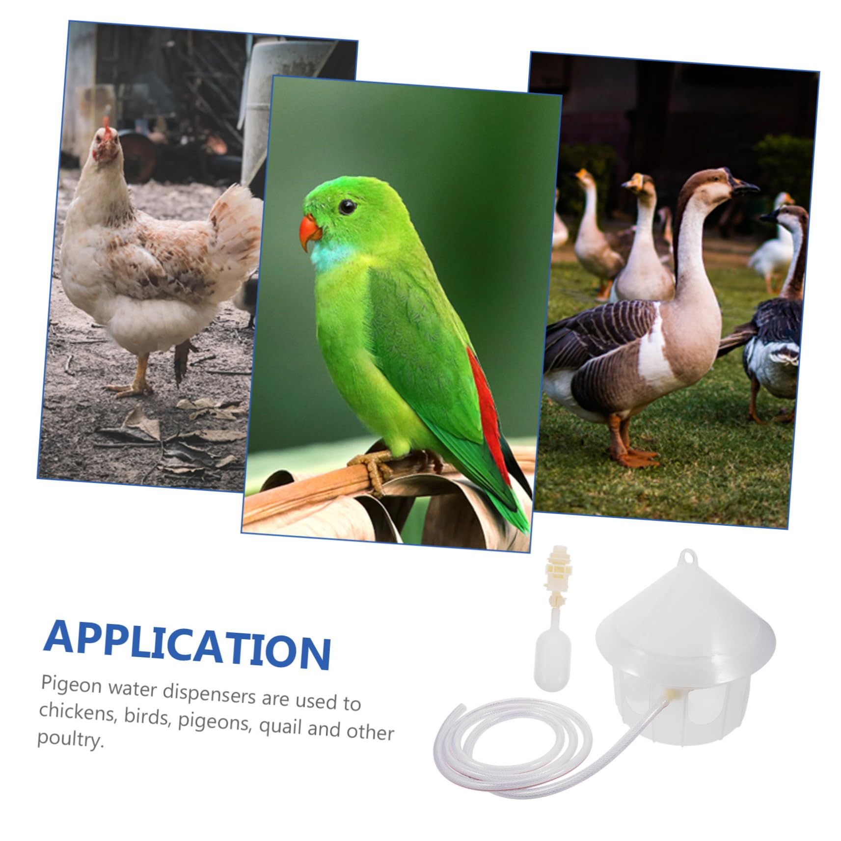 BESPORTBLE Distributore Acqua per Piccioni in Plastica, Facile da Pulire e Fissabile alle Gabbie per Uccelli, per Alimentazione Automatica di Pollame e Volatili