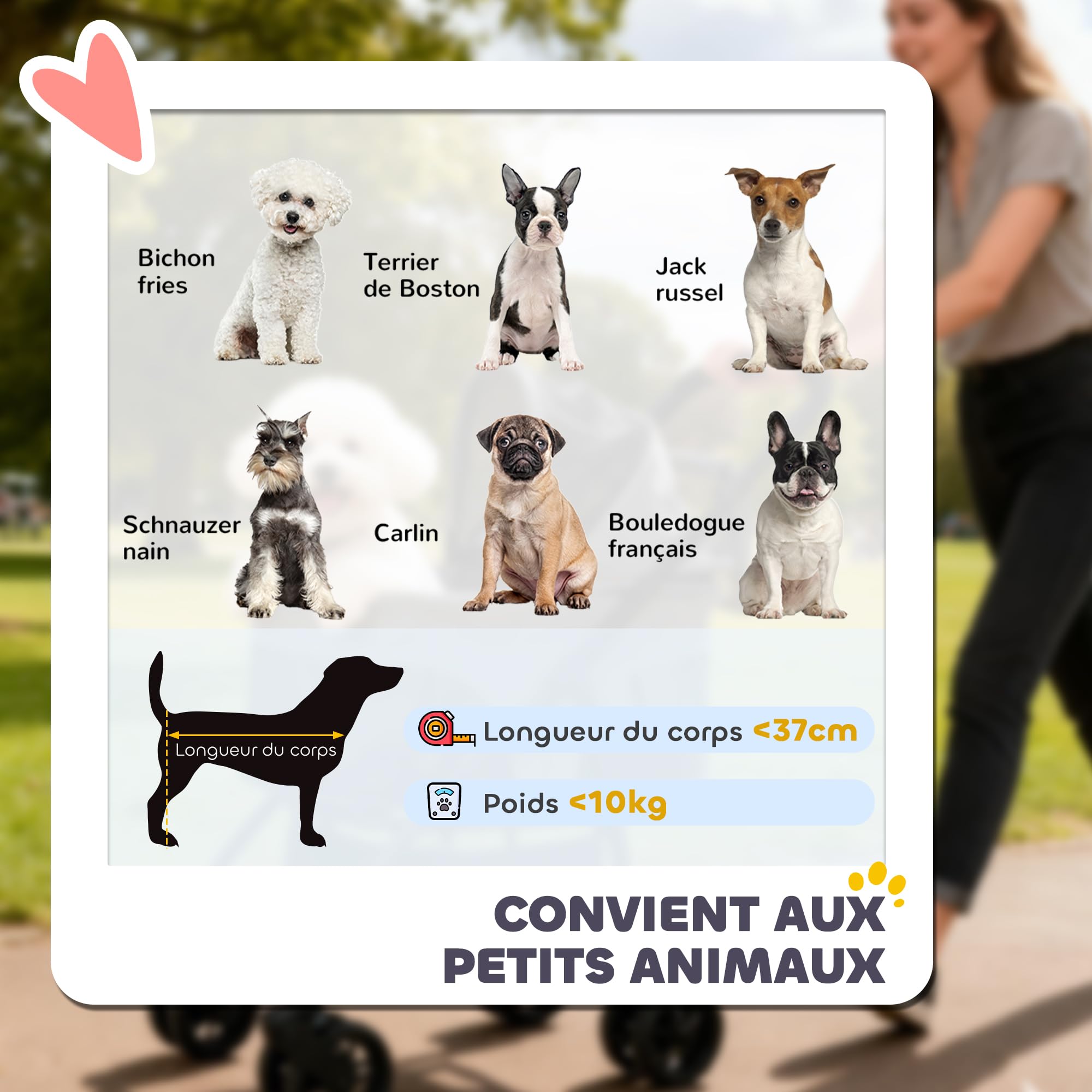 PawHut - Cochecito para perro 3 en 1 desmontable con capazo extraíble y sin cremallera, para perros pequeños y gatos de 10 kg, color gris