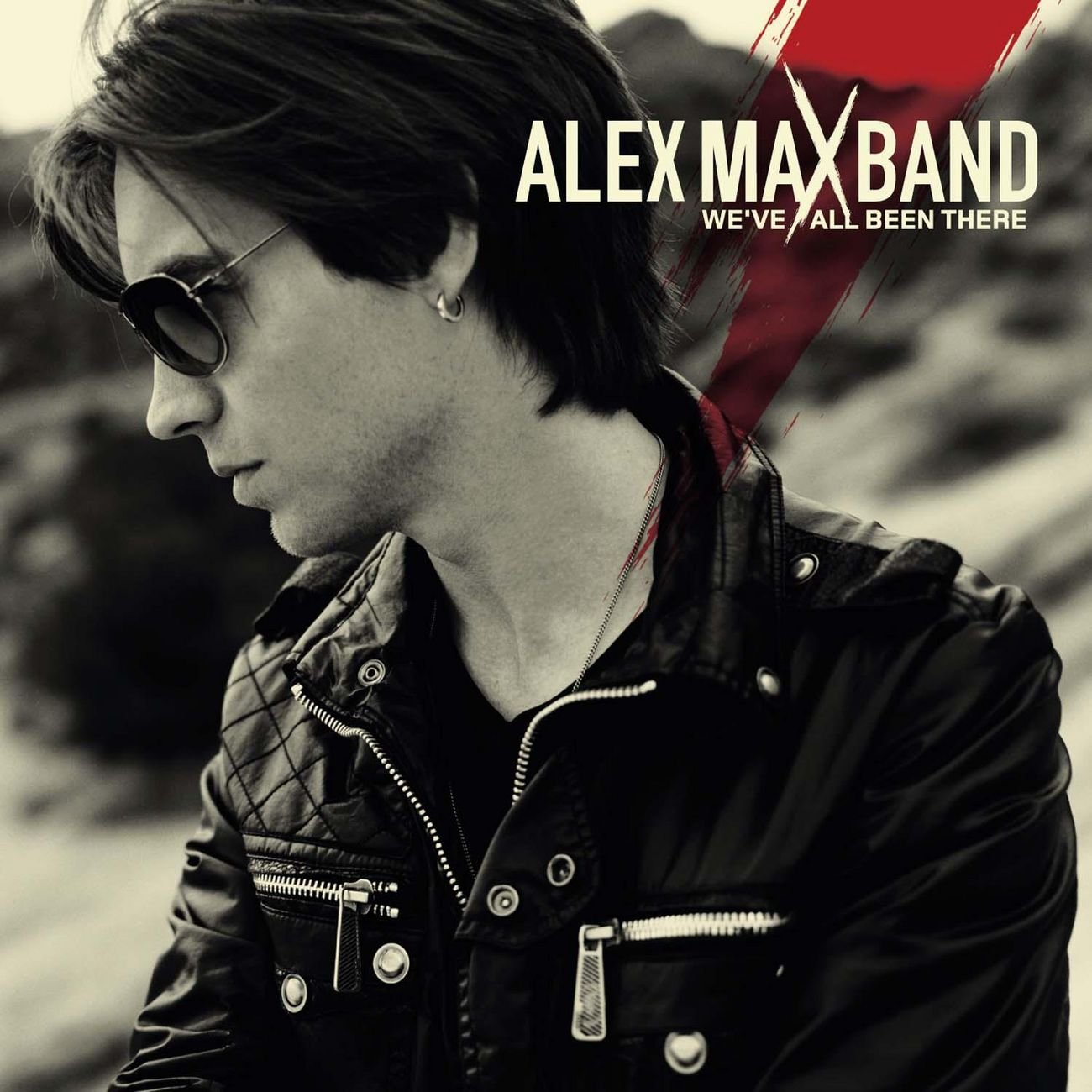 Alex Max Band