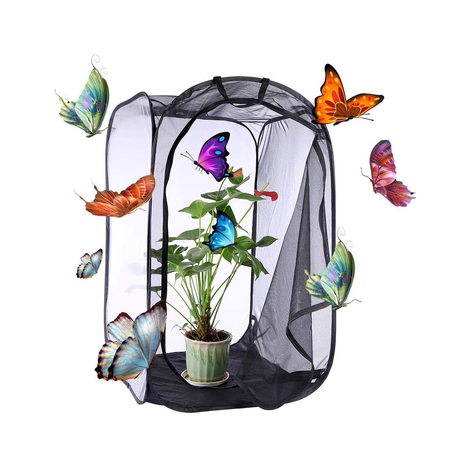 Bangminda Schmetterlingsnetz Käfig 40x40x60cm - Klappbar Mit Belüftung Für Insekten