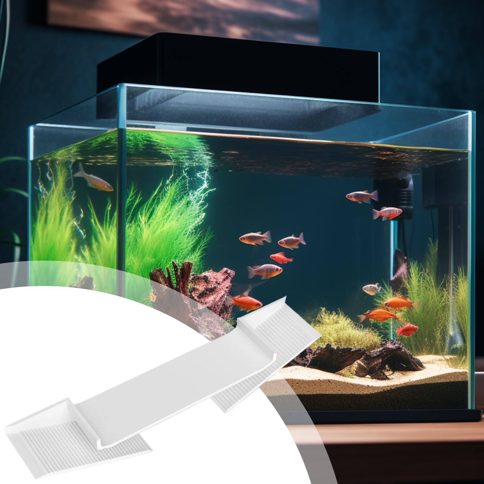 Grotta Nascondiglio Per Gamberetti In Acquario – Design Naturale E Sicuro