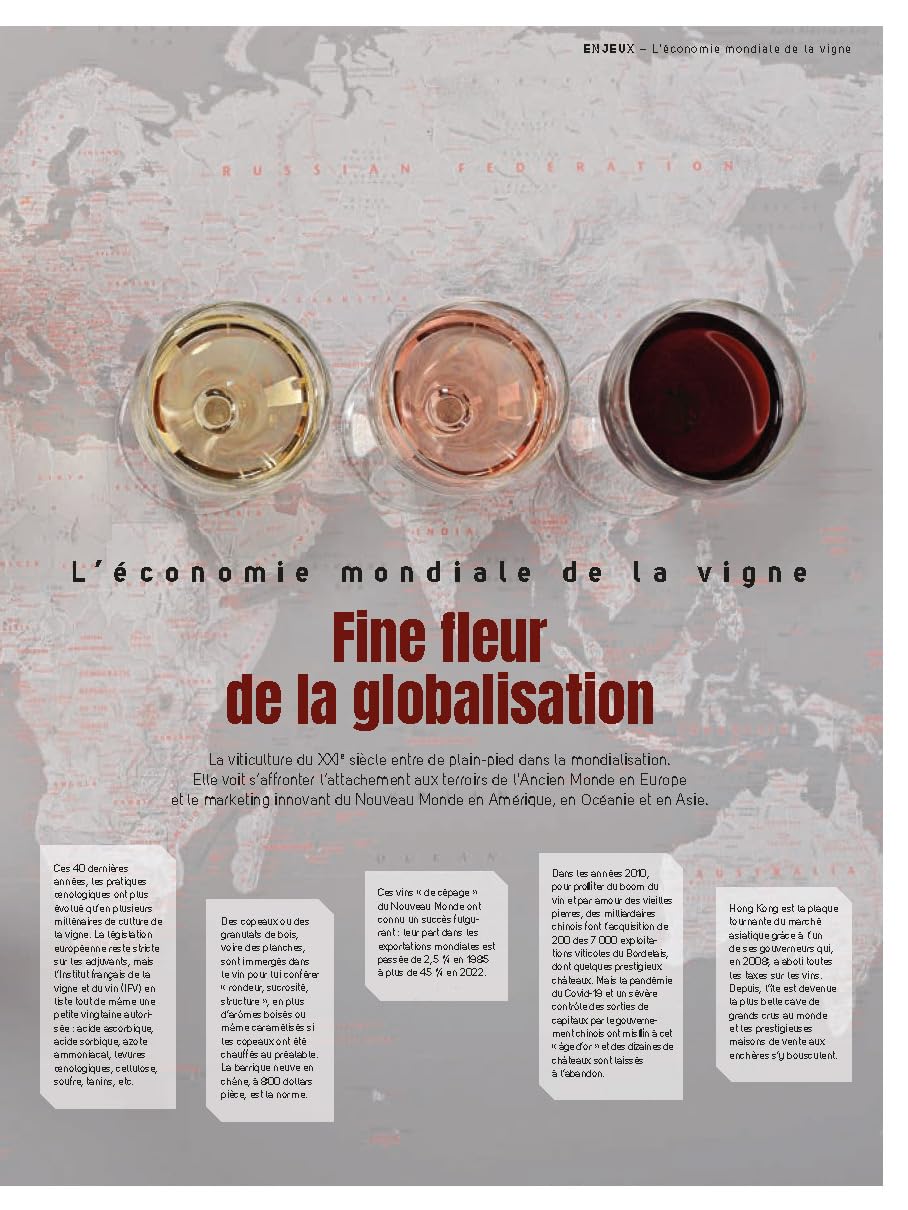 Vignes et raisins: Tous les savoirs, toutes les histoires, tous les pouvoirs, tous les espoirs…