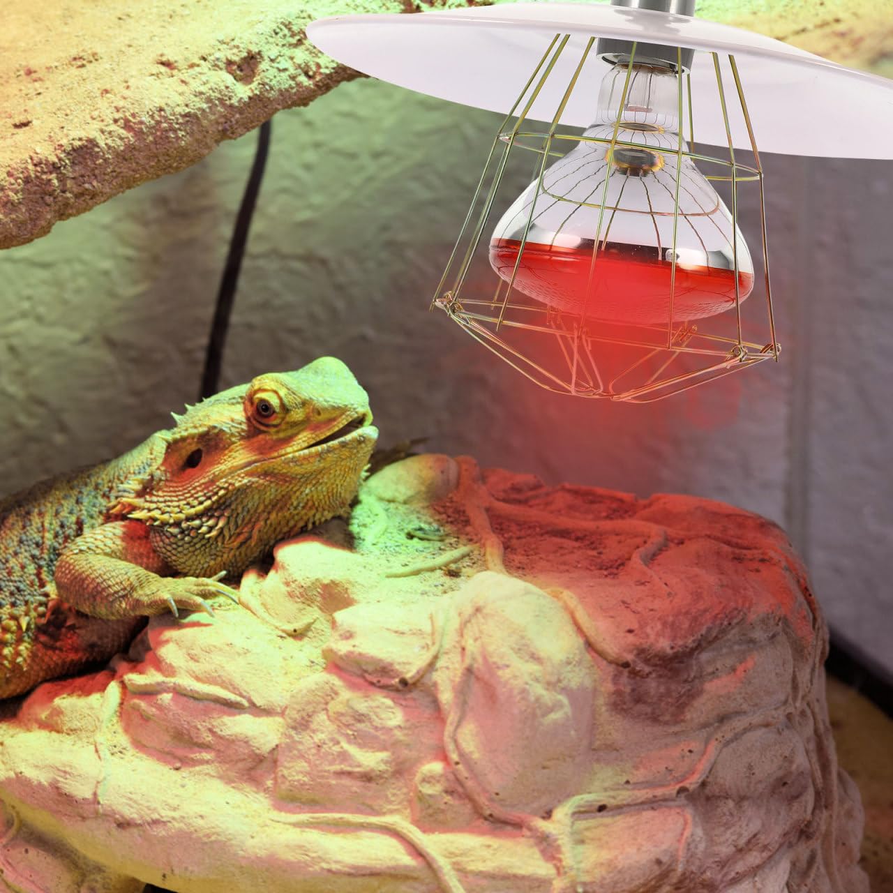 Mobestech Lámpara Calefactora Para Jaulas De Mascotas y Animales Material Resistente y Diseño De Radiación Térmica Adecuado Para Hámsteres y Reptiles 11.8 Pulgadas